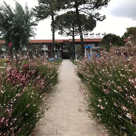 Palm Küçükkuyu