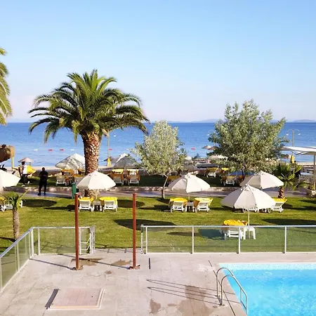 Palm Hotel 3*