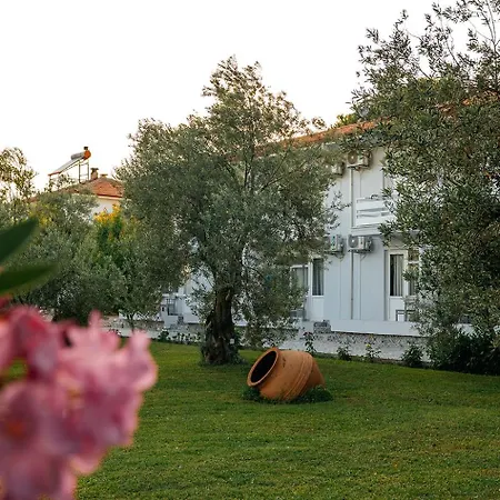 Hotel Palm