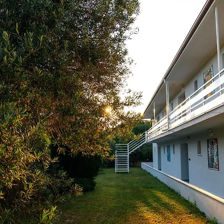 Hotel Palm