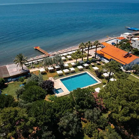 Palm Hotel 3*