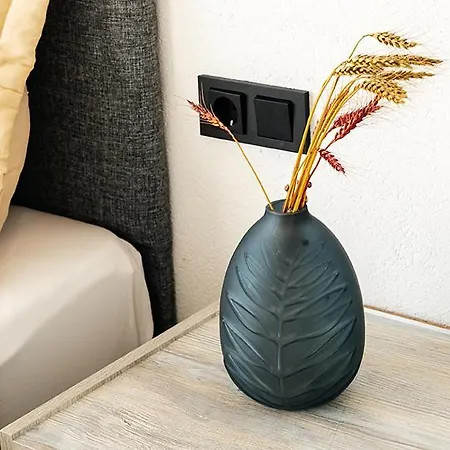 Palm Küçükkuyu