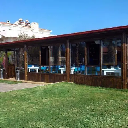 Palm Hotel