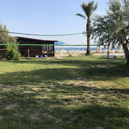 Palm Hotel 3*