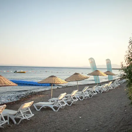 Palm Hotel Kucukkuyu