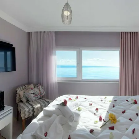 Hotel Palm 3*