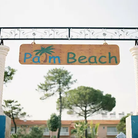 Palm Kucukkuyu